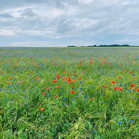 Restaurant Und Zur Puppenstube Гостевой дом