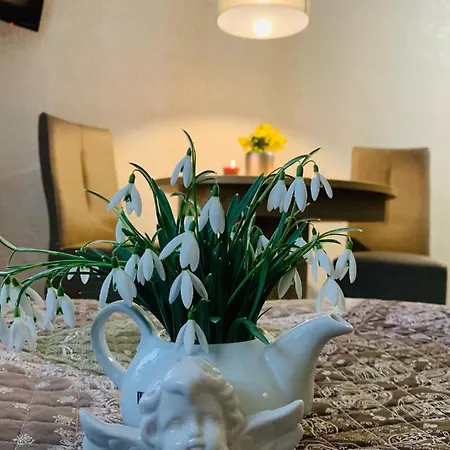 Restaurant Und Zur Puppenstube 게스트하우스 스톨펜