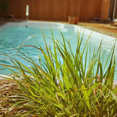 Restaurant Und Zur Puppenstube Stolpen