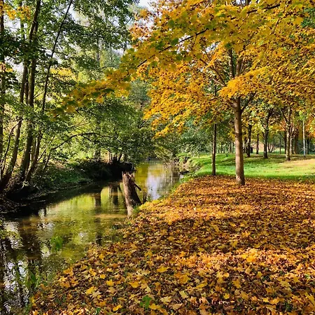 Vendégház Restaurant Und Zur Puppenstube