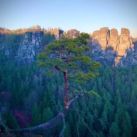 Restaurant Und Zur Puppenstube Штольпен